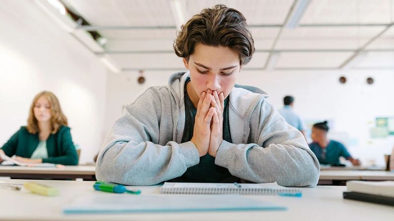 Raising an Academic Overachiever (or Not)