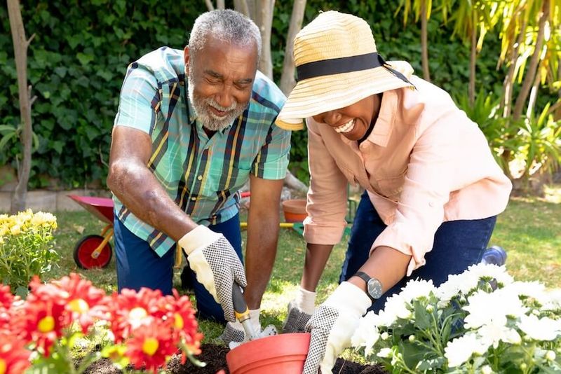 Plant a Tree or Flowers as a Growing Symbol